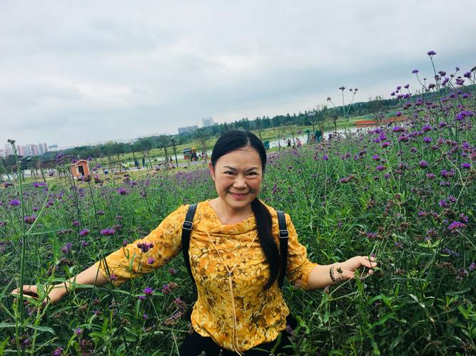 蔡甸花博汇:种植各种花卉,特别是各色带香的百合,姹紫嫣红,法国风情
