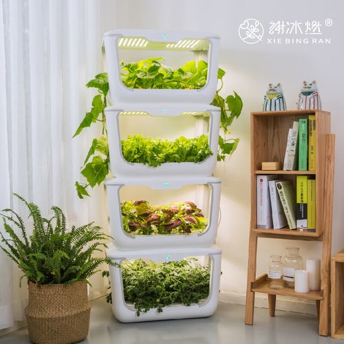 谢冰燃智能种菜机室内无土栽培蔬菜水培育苗花卉家庭种植箱花盆套装